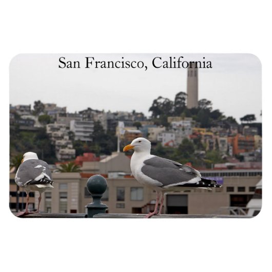 Flexible Magnet Flexi Premium Seagull de San Francisco (Horizontal)