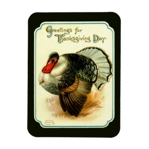 Flexible Magnet Flexi vintage Turquie Premium