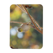 Flexible Magnet Goldfinch féminin (Vertical)