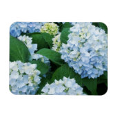 Flexible Magnet Hydrangea (Horizontal)