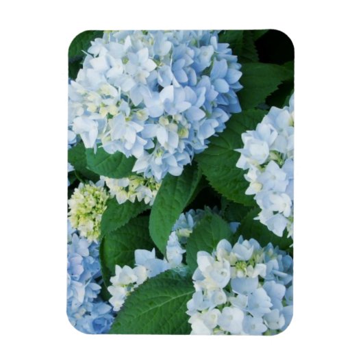 Flexible Magnet Hydrangea (Vertical)