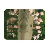 Flexible Magnet - les Flamants roses au zoo de Bronx (Horizontal)