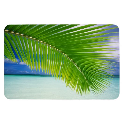 Flexible Magnet océanique tropical (Horizontal)