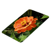 Flexible Magnet orange Zinnia Premium (Côté Gauche)