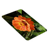 Flexible Magnet orange Zinnia Premium (Côté Droit)