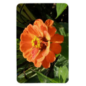 Flexible Magnet orange Zinnia Premium (Vertical)