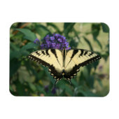Flexible Magnet papillon parfaitement aligné (Horizontal)
