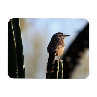 Flexible Magnet photo Cactus Wren