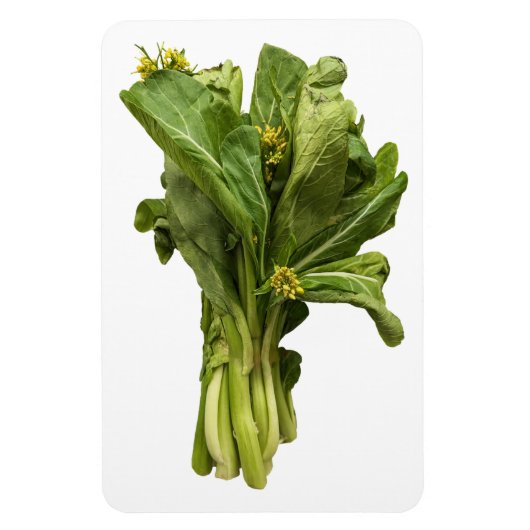 Flexible Magnet photo Choy Sum (Vertical)