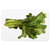 Flexible Magnet photo Choy Sum (Horizontal)