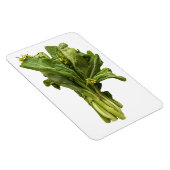 Flexible Magnet photo Choy Sum (Côté Droit)