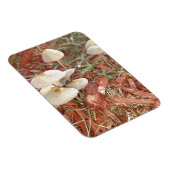 Flexible Magnet photo de champignon (Côté Droit)