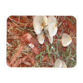 Flexible Magnet photo de champignon (Horizontal)