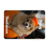 Flexible Magnet photo de chien Citrouille mignon (Horizontal)