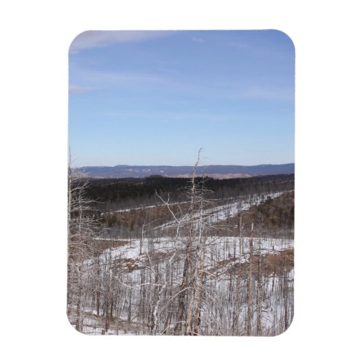 Flexible Magnet photo de la forêt de Pike (Vertical)