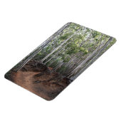 Flexible Magnet photo de la piste de marche (Côté Gauche)