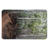 Flexible Magnet photo de la piste de marche (Horizontal)