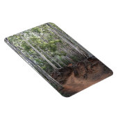 Flexible Magnet photo de la piste de marche (Côté Droit)