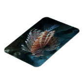 Flexible Magnet photo de poisson rouge (Côté Gauche)