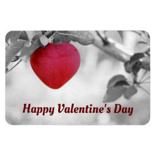 Flexible Magnet photo en forme de coeur