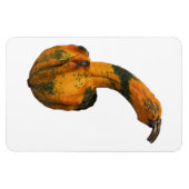 Flexible Magnet photo gourd (Horizontal)