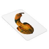 Flexible Magnet photo gourd (Côté Droit)