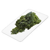 Flexible Magnet photo Kale (Côté Gauche)