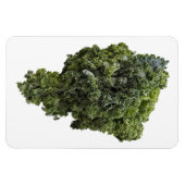 Flexible Magnet photo Kale (Horizontal)