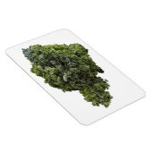 Flexible Magnet photo Kale (Côté Droit)
