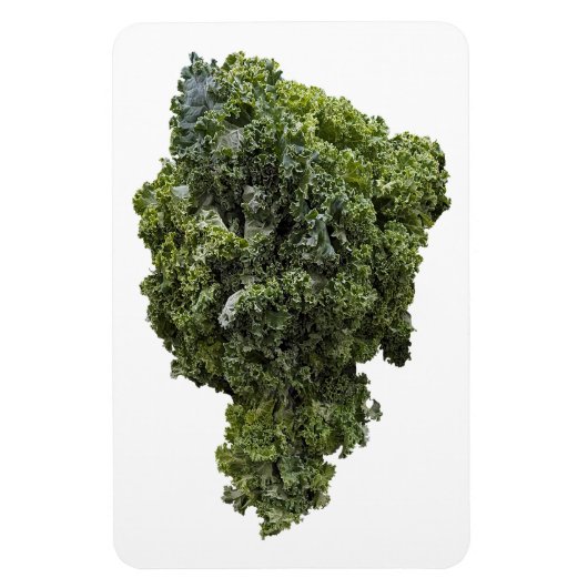 Flexible Magnet photo Kale (Vertical)