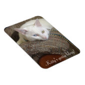Flexible Magnet photo Kitty Bling (Côté Droit)