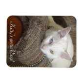 Flexible Magnet photo Kitty Bling (Horizontal)