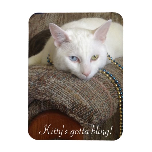 Flexible Magnet photo Kitty Bling (Vertical)