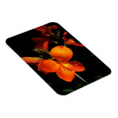 Flexible Magnet photo orchidée éblouissant (Côté Droit)