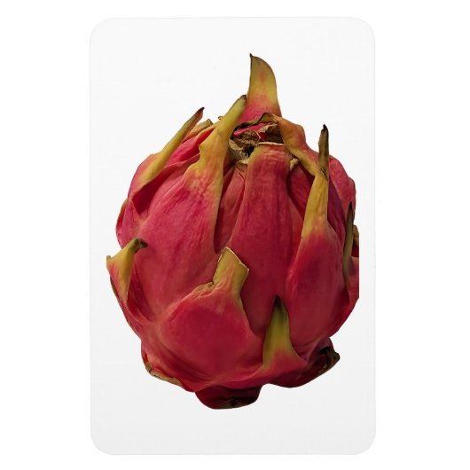 Flexible Magnet photo Pitaya (Vertical)