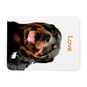 Flexible Magnet photo Rottweiler (Horizontal)