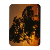 Flexible Magnet photo Savannah Sunset (Vertical)