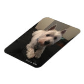 Flexible Magnet photo Westie 3"x4" (Côté Gauche)