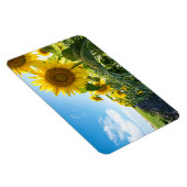 Flexible Magnet plat 4x6 (Côté Droit)