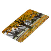 Flexible Magnet plat 4x6 (Côté Gauche)