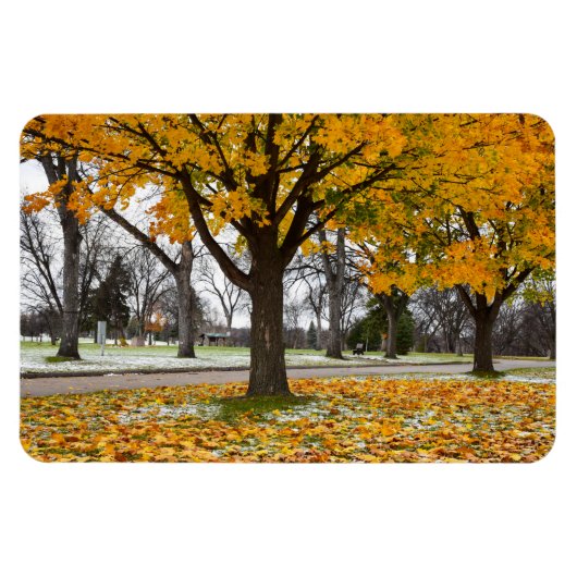 Flexible Magnet plat 4x6 (Horizontal)