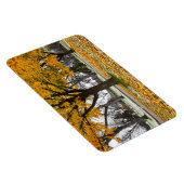 Flexible Magnet plat 4x6 (Côté Droit)