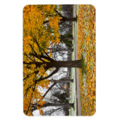 Flexible Magnet plat 4x6 (Vertical)