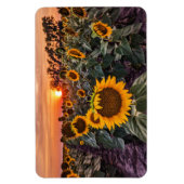 Flexible Magnet plat 4x6 (Vertical)