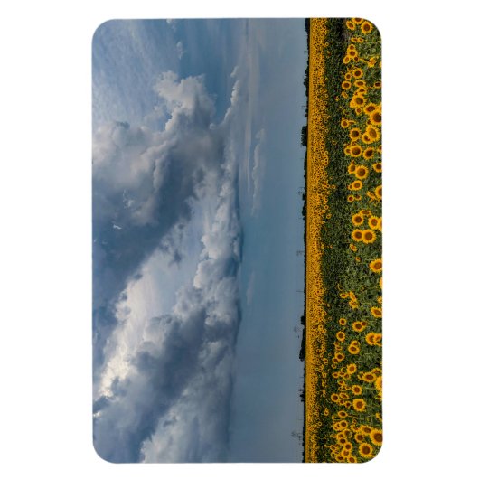 Flexible Magnet plat 4x6 (Vertical)