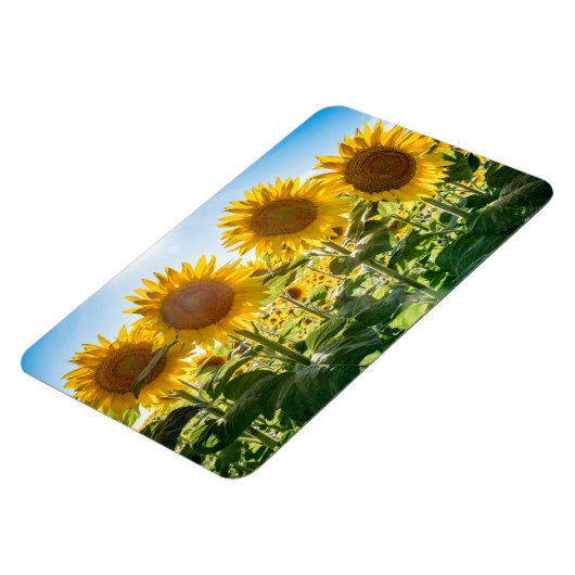 Flexible Magnet plat 4x6 (Côté Gauche)