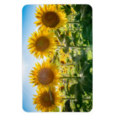 Flexible Magnet plat 4x6 (Vertical)