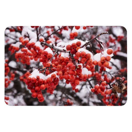 Flexible Magnet plat 4x6 (Horizontal)