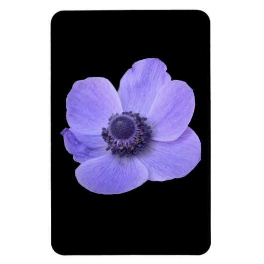 Flexible Magnet Premium Anemone bleu (Vertical)