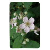 Flexible Magnet Premium Blackberry Flowers (Vertical)
